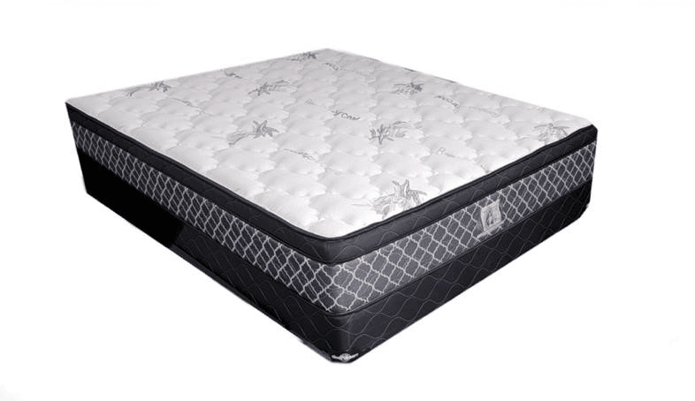 Doctor Firm Orthopedic Euro Top Mattress - Mattressville