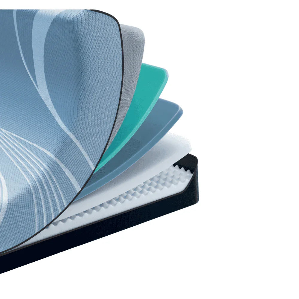 TEMPUR-PEDIC ProAlign 2.0 Firm Mattress - Mattressville