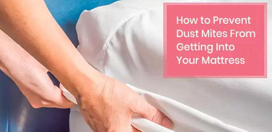How to Prevent Dust Mites From Getting Into Your Mattress - Mattressville