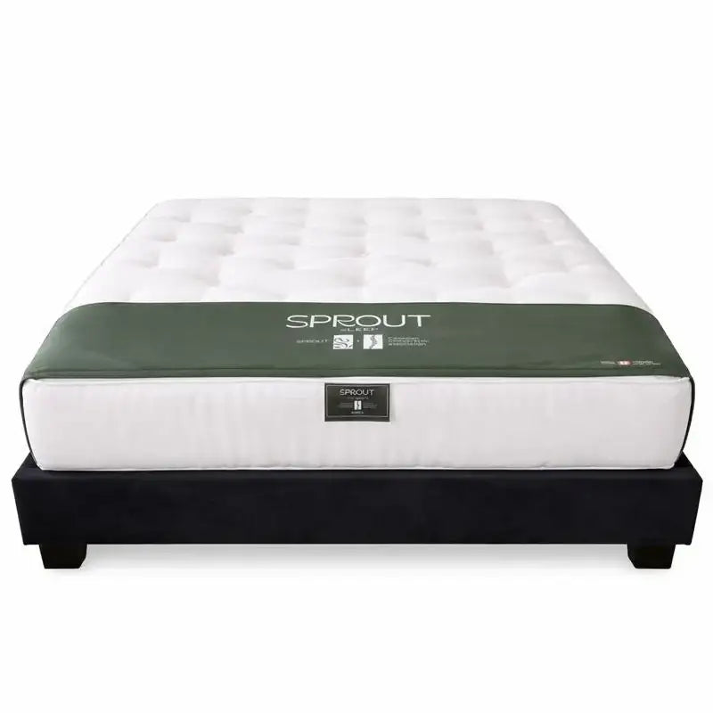 Sprout Firmus mattress on a black platform bed with white background.