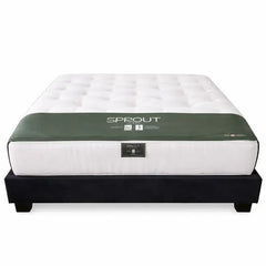 Sprout Firmus mattress on a black platform bed with white background.