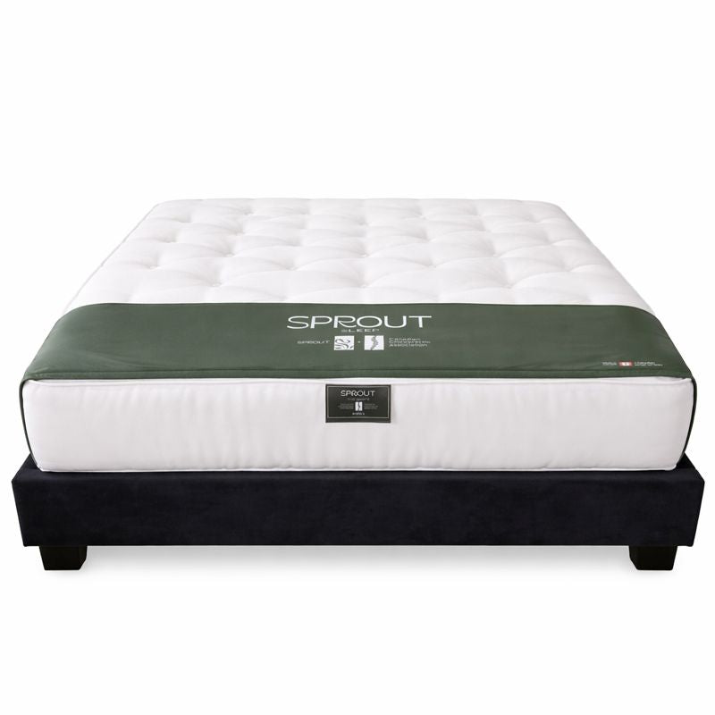 Sprout mattress on a black platform bed with white background.