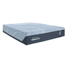 TEMPUR-PEDIC ProAlign 2.0 Medium Mattress - Mattressville
