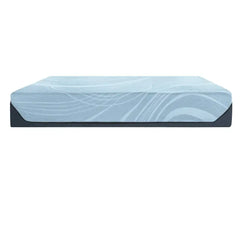 TEMPUR-PEDIC ProAlign 2.0 Soft Mattress - Mattressville