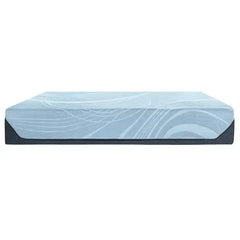 TEMPUR-PEDIC ProAlign 2.0 Medium Mattress - Mattressville