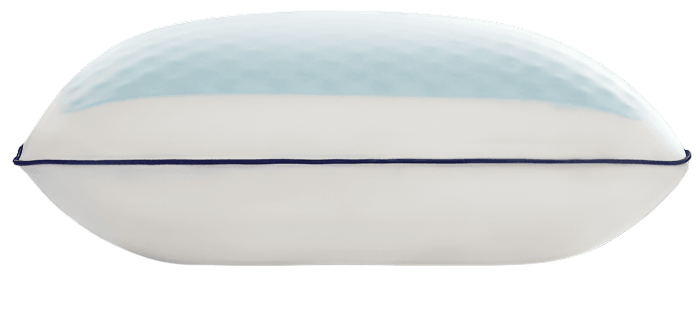 Visco Gel Pillow