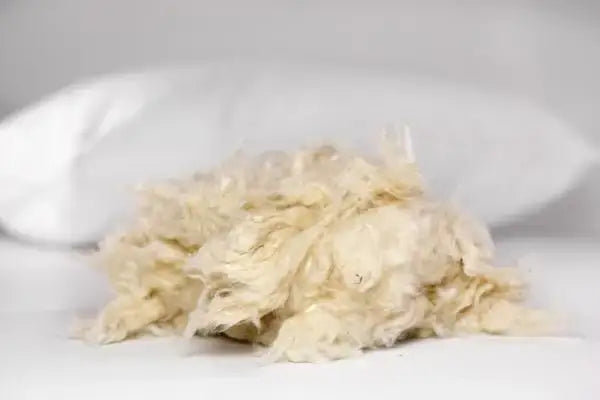 EcoComfort Organic Cotton Pillow - Mattressville