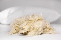 EcoComfort Organic Cotton Pillow